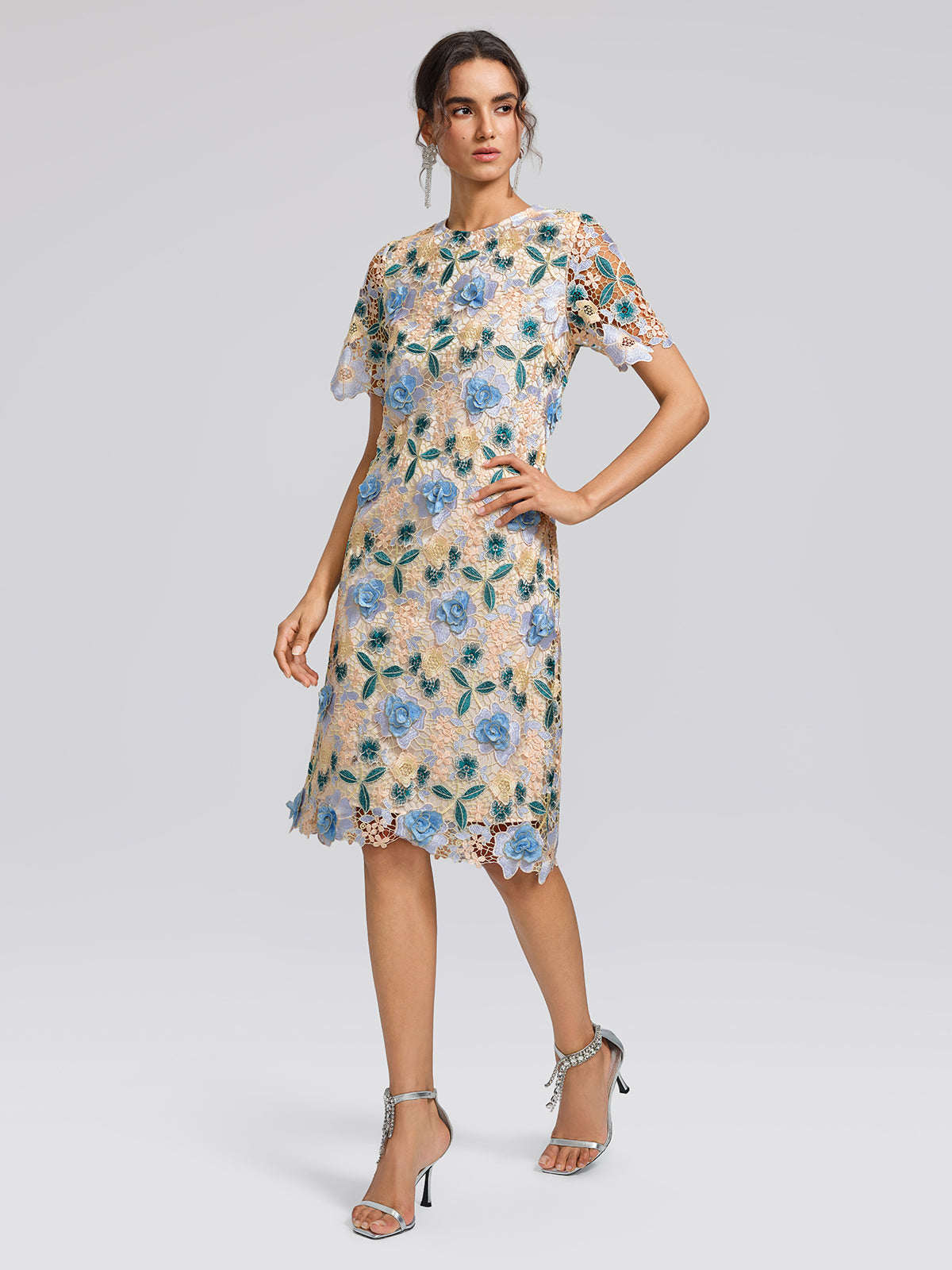 Guipure Lace Floral Leaf-Embellished Dress