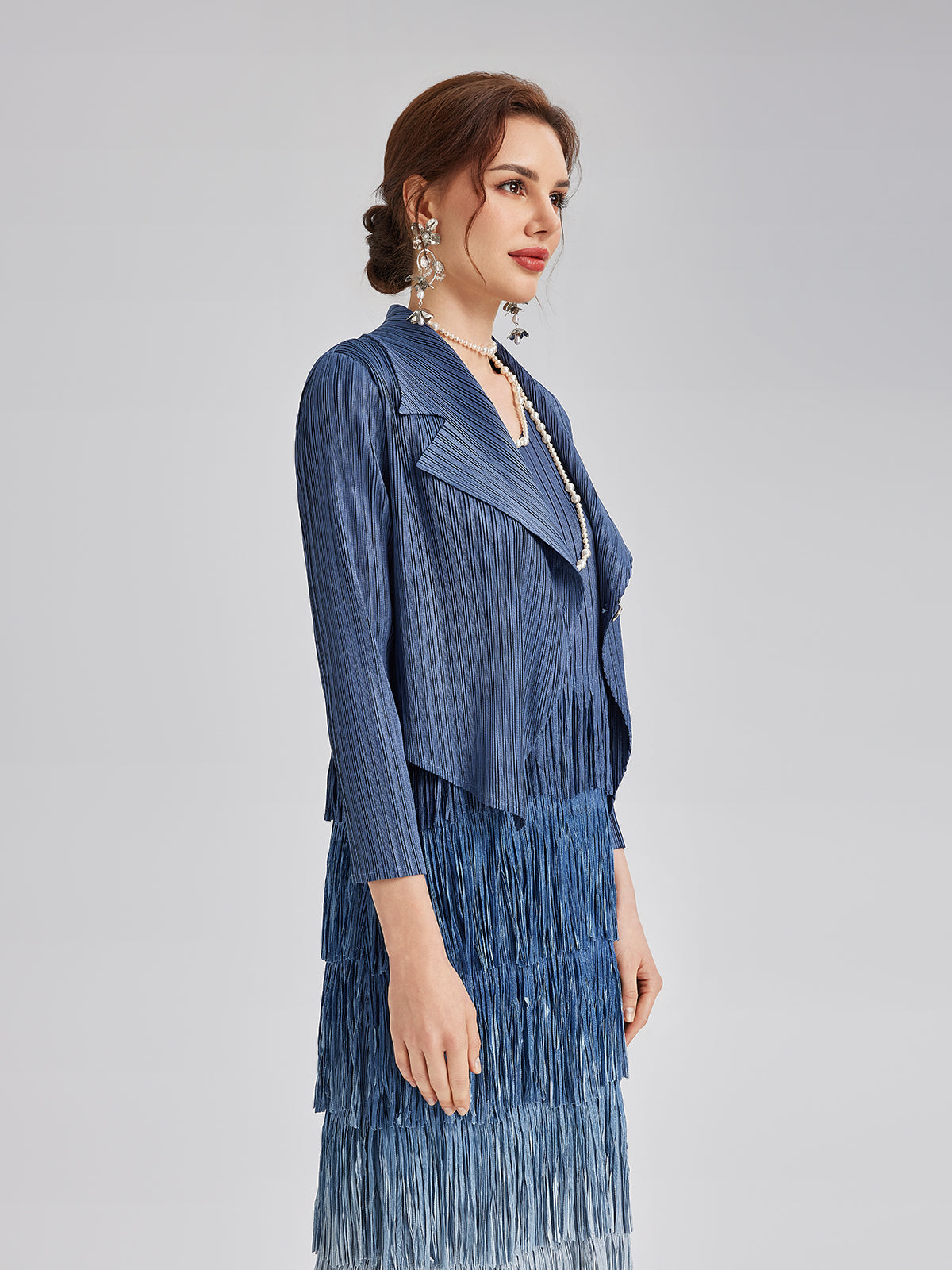 Elegant Pleated Ombre Fringe Dress Set