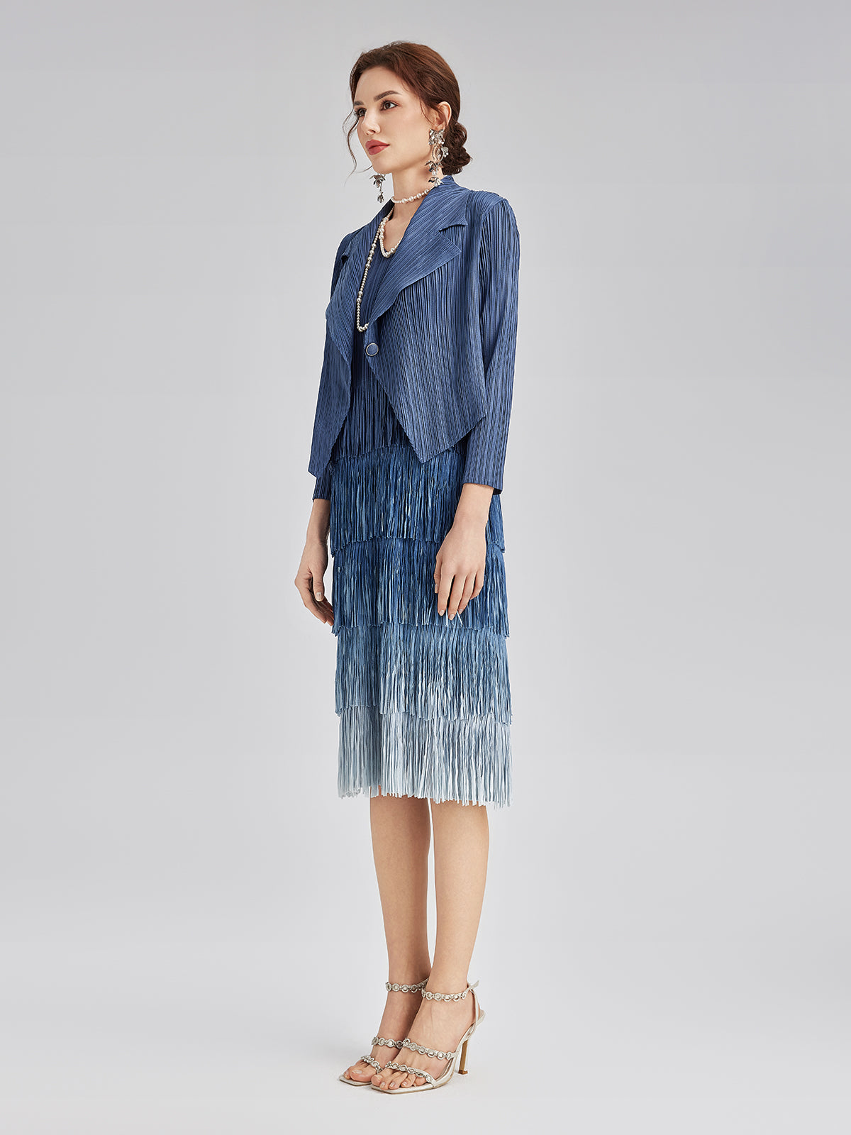 Elegant Pleated Ombre Fringe Dress Set