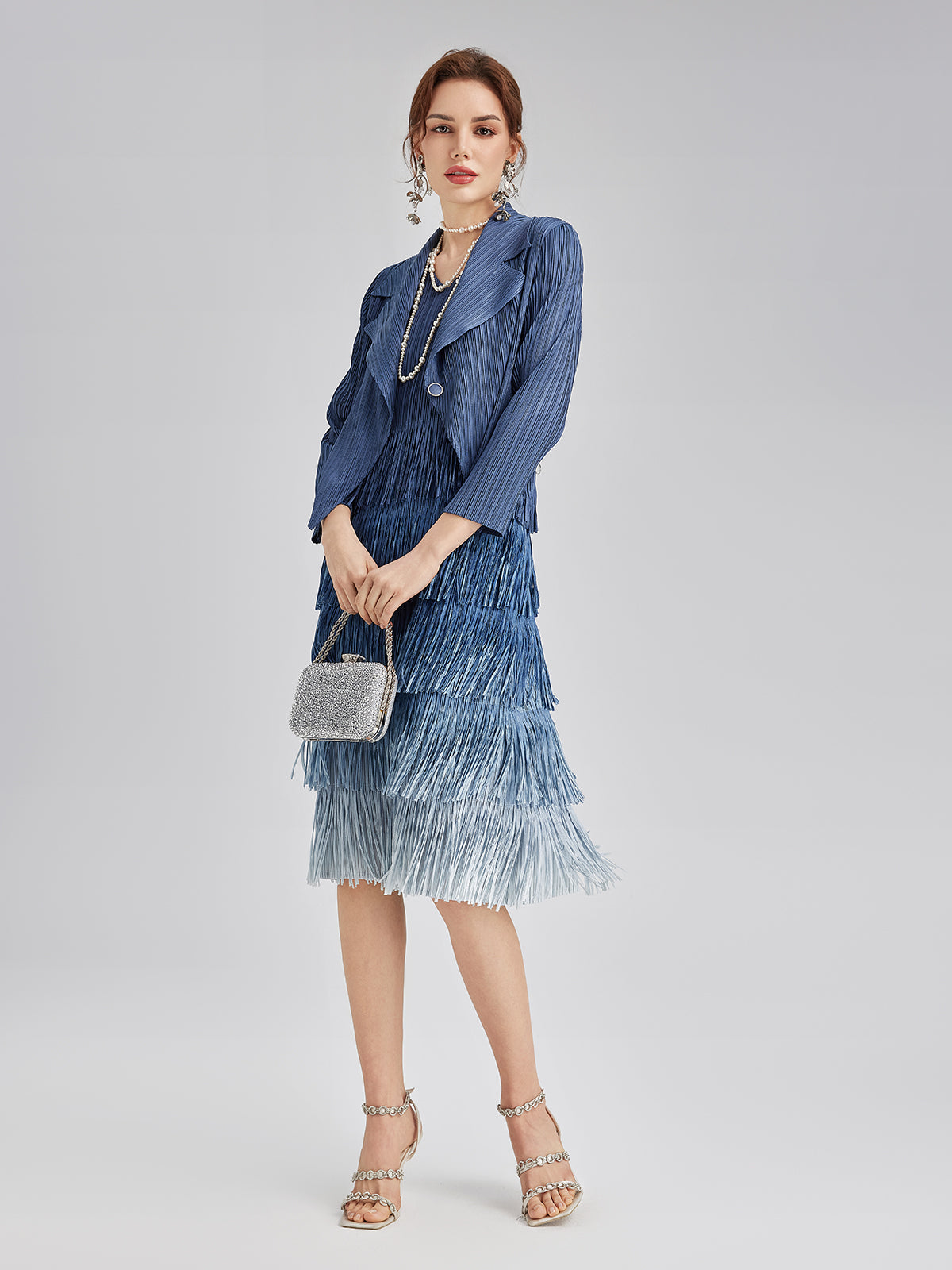 Elegant Pleated Ombre Fringe Dress Set