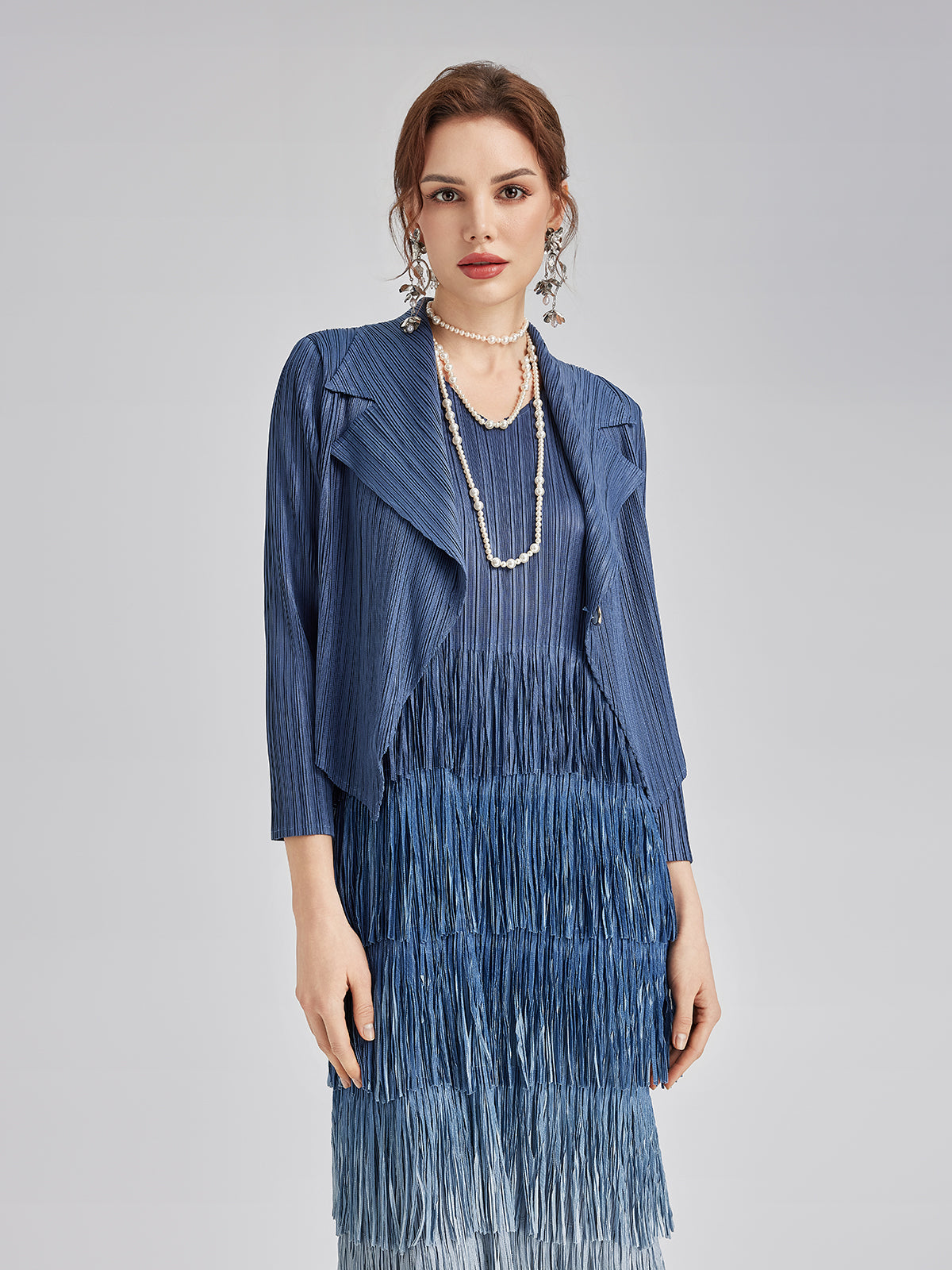 Elegant Pleated Ombre Fringe Dress Set