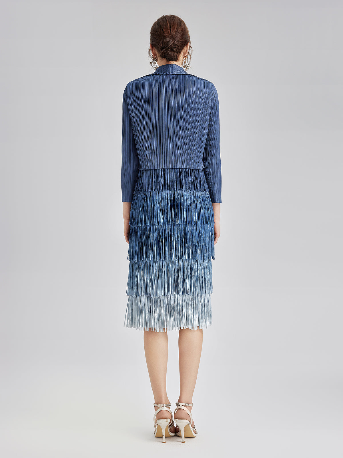 Elegant Pleated Ombre Fringe Dress Set