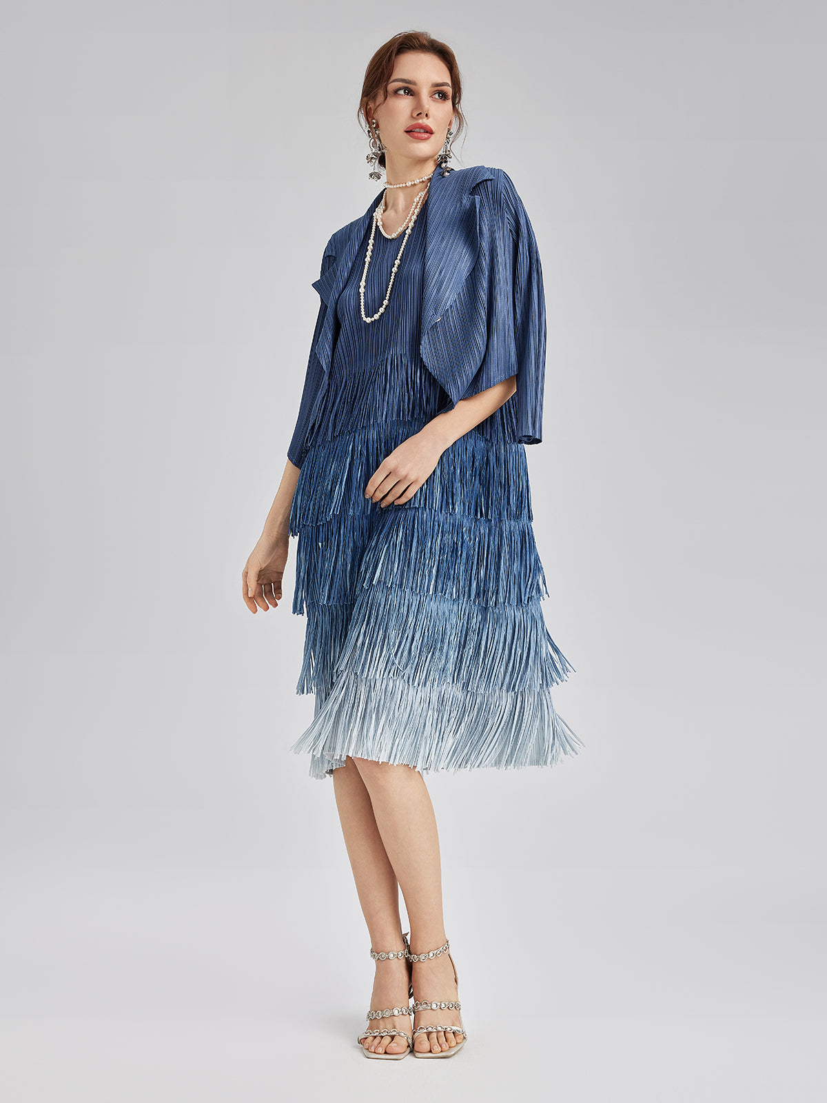Elegant Pleated Ombre Fringe Dress Set