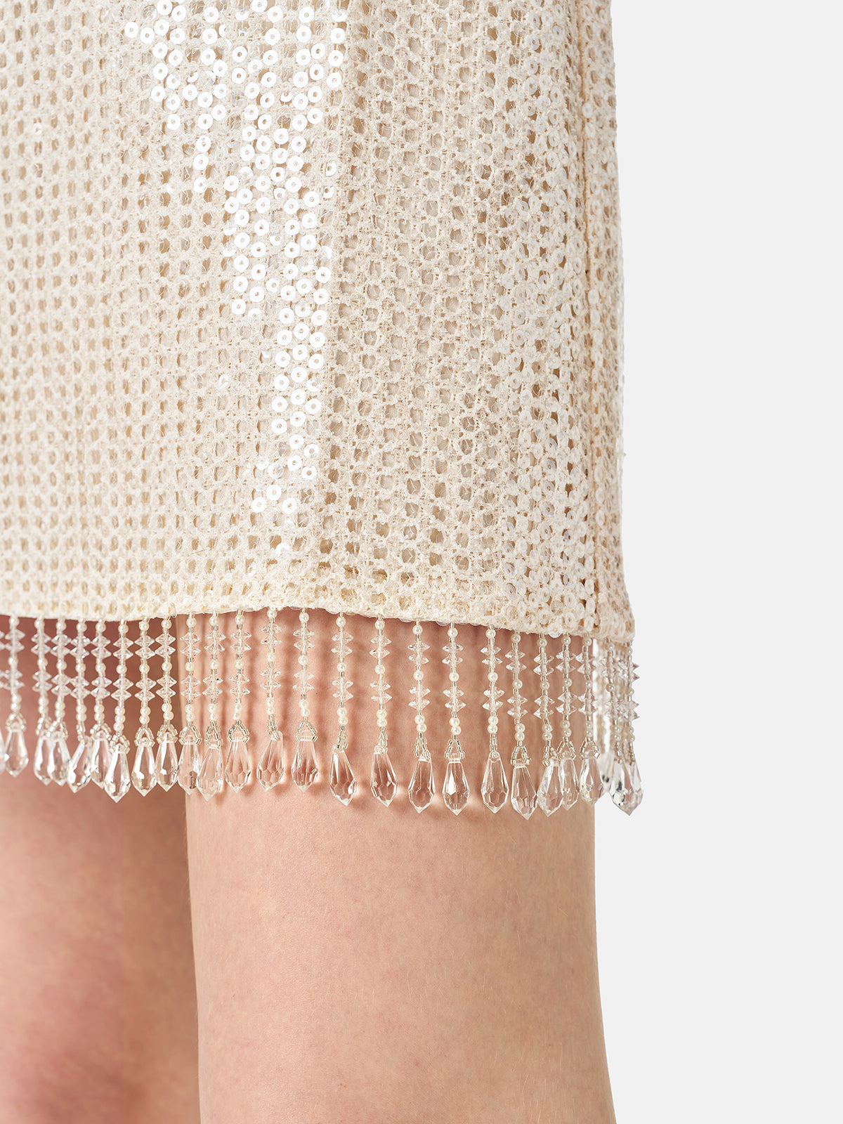 Sparkly Sequin Fringe Dress