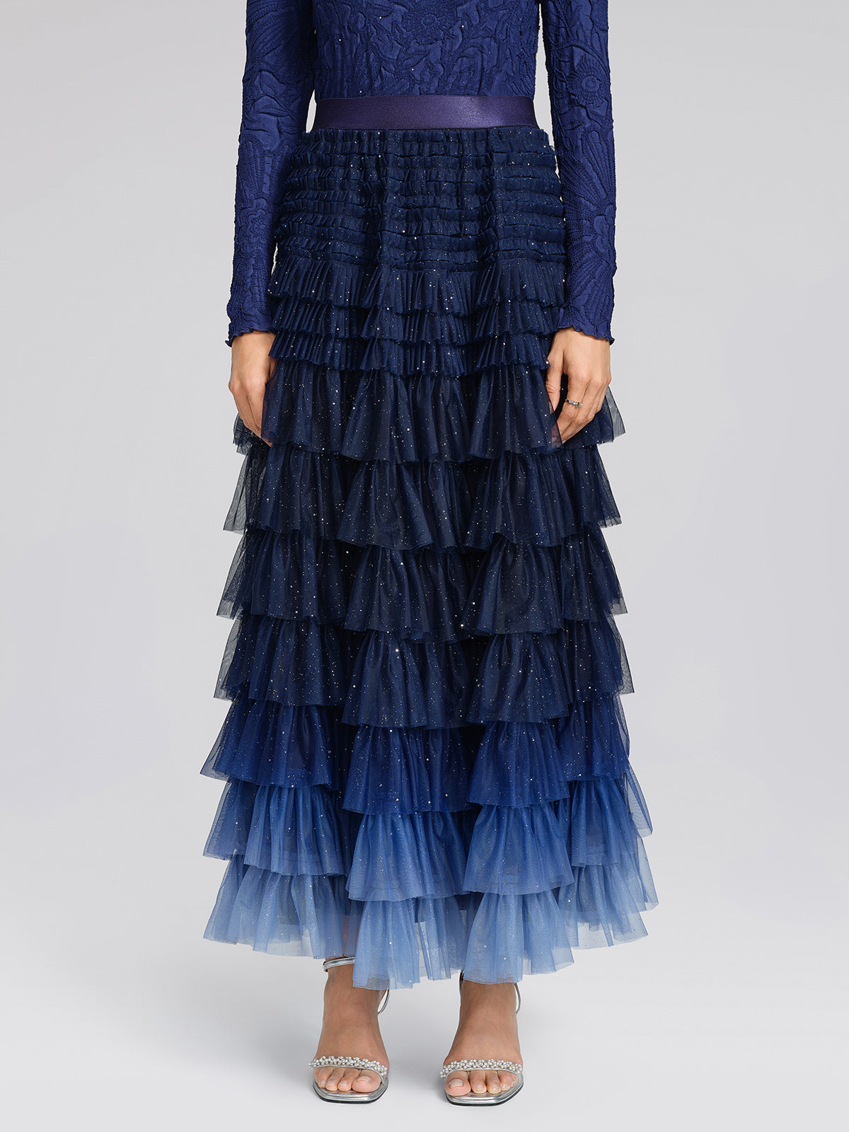 Sequin Mesh Pleated Gradient Skirt