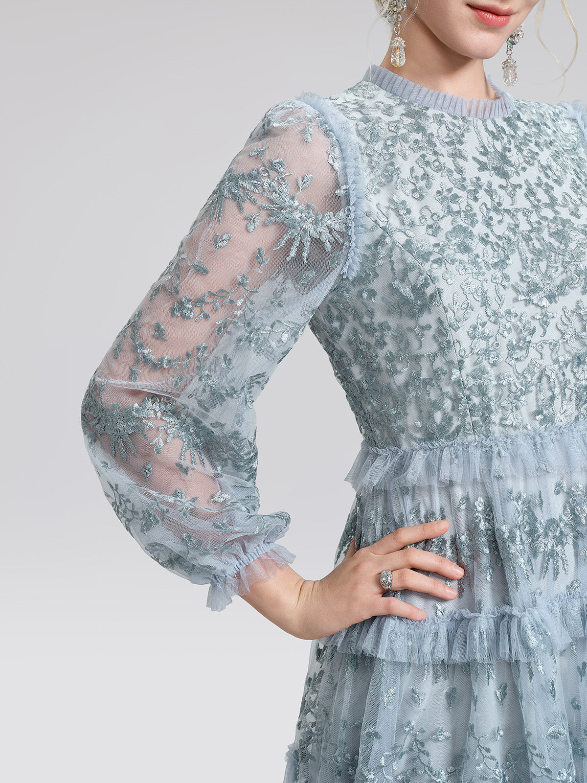 Embroidered Mesh Ruffle Lantern Sleeve Dress