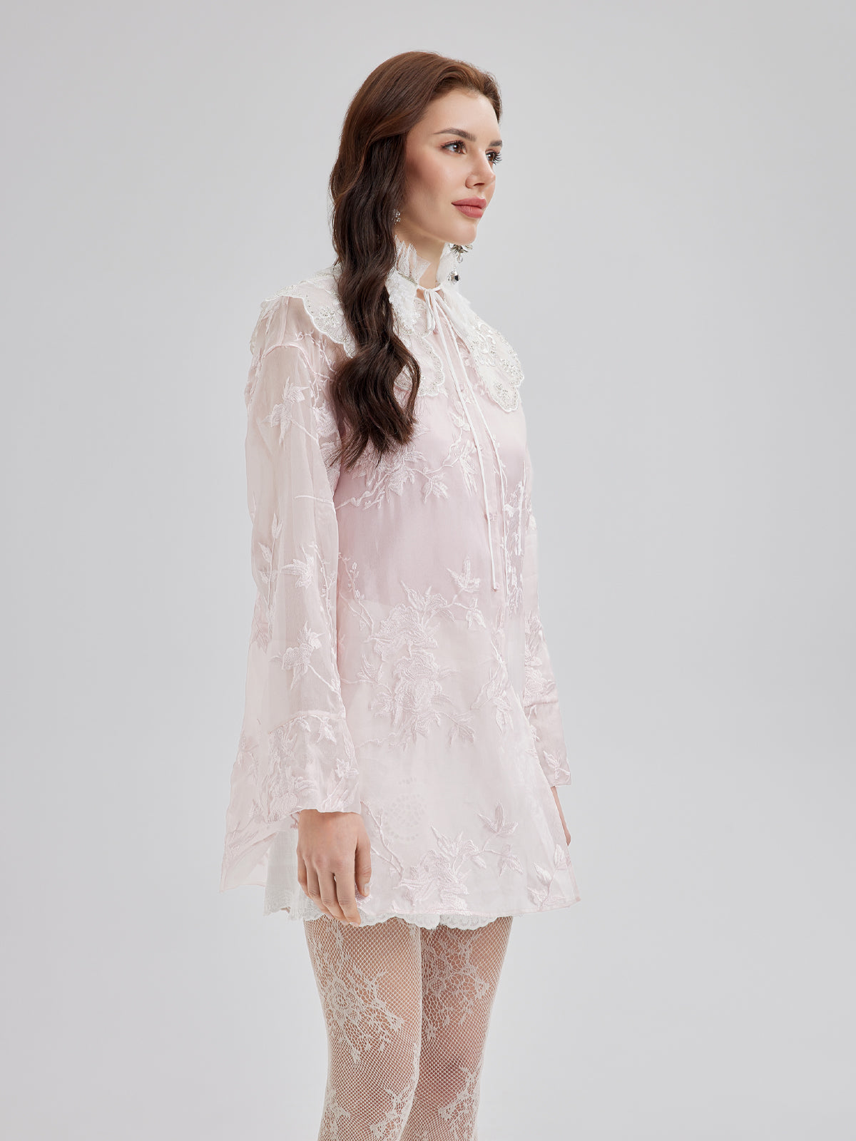 Embroidered Organza Sheer Blouse