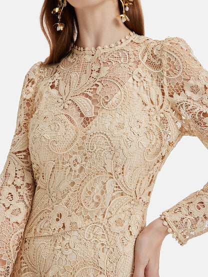 Luxurious Palace Lace Dress