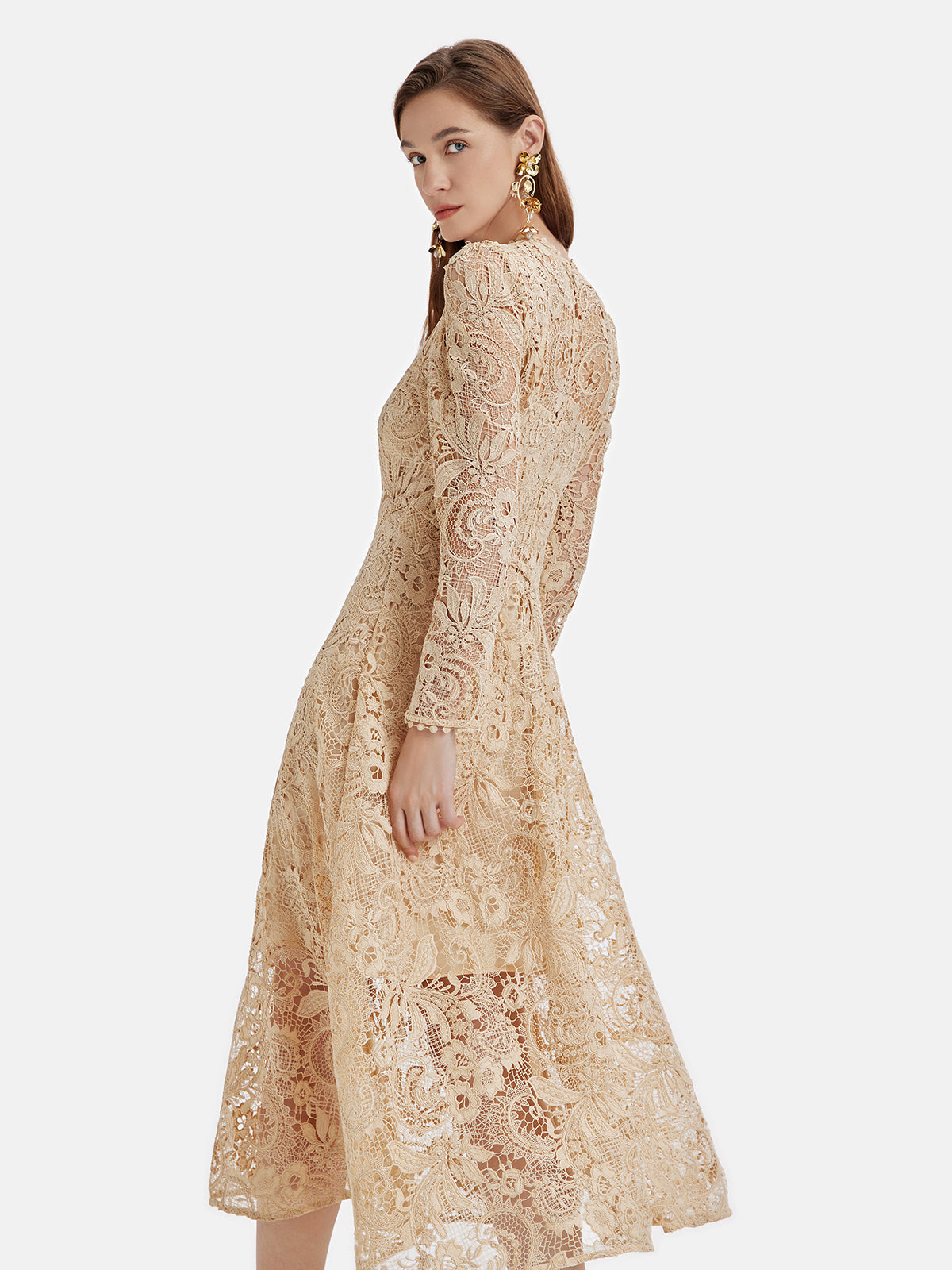 Luxurious Palace Lace Dress