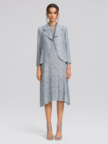 Textured Pleated Lapel Blazer Dress Set