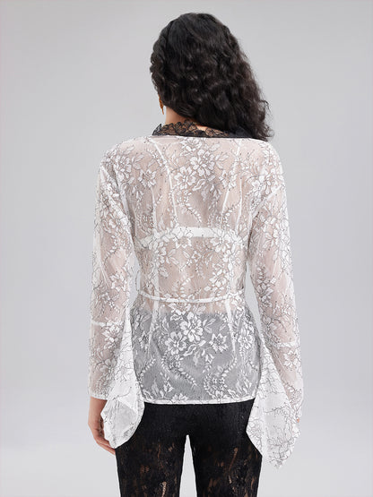 Two-Tone Lace V-neckline Shirt