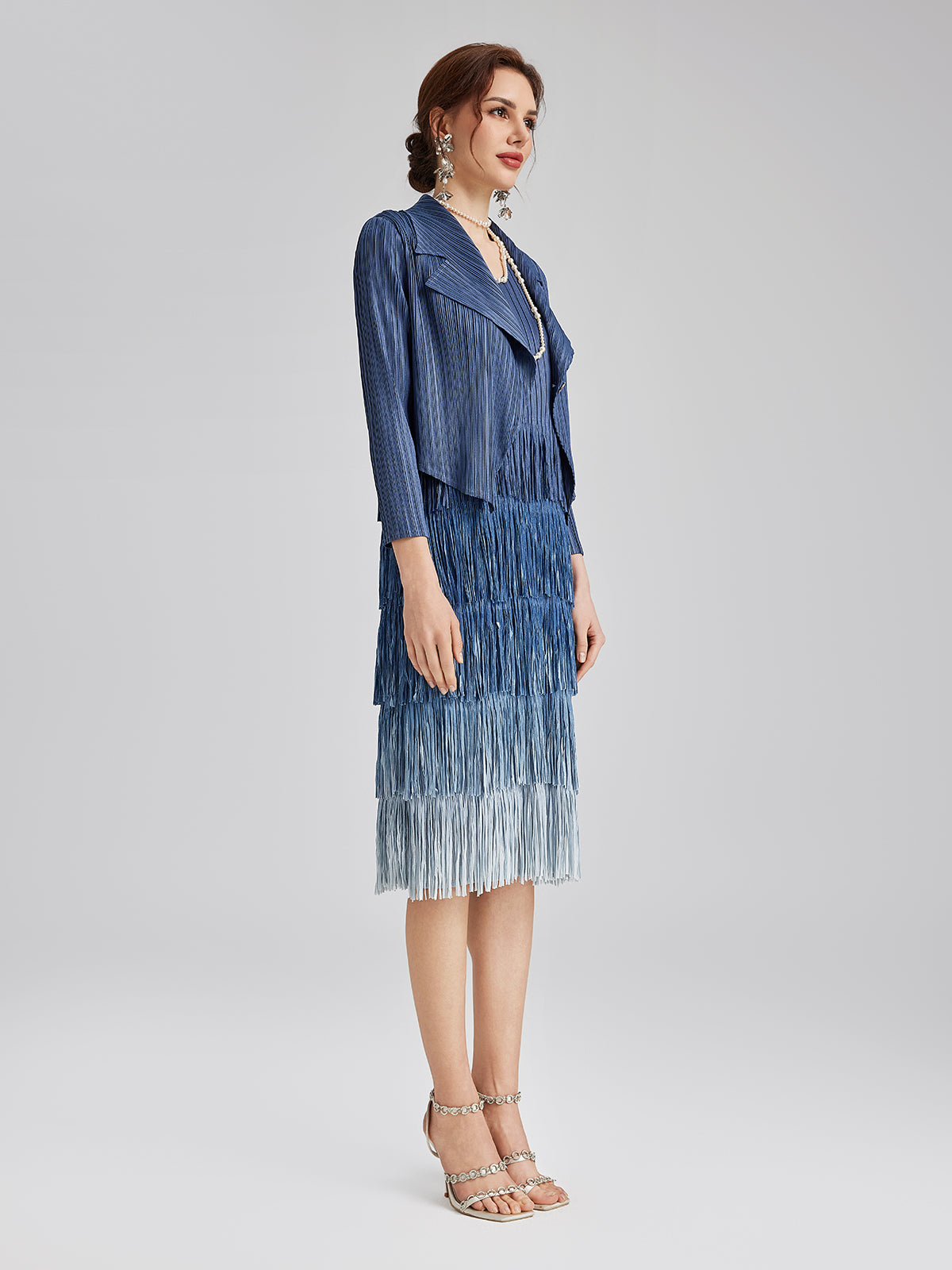 Elegant Pleated Ombre Fringe Dress Set