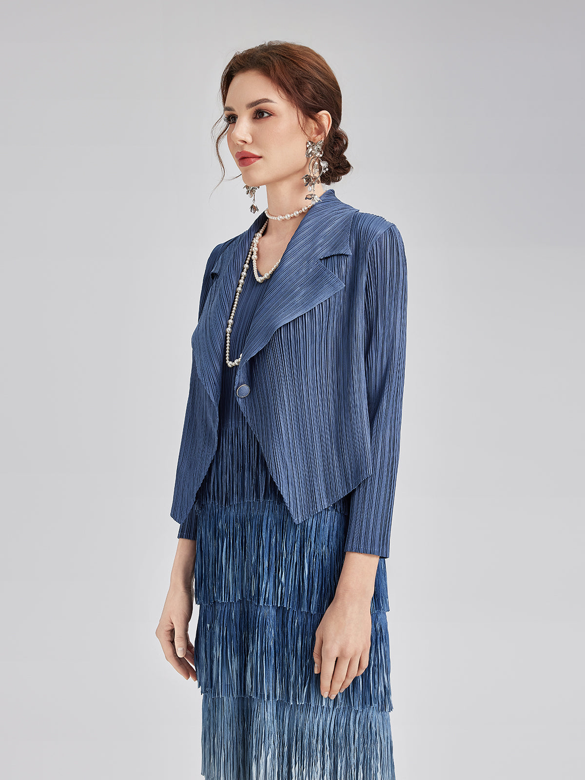 Elegant Pleated Ombre Fringe Dress Set