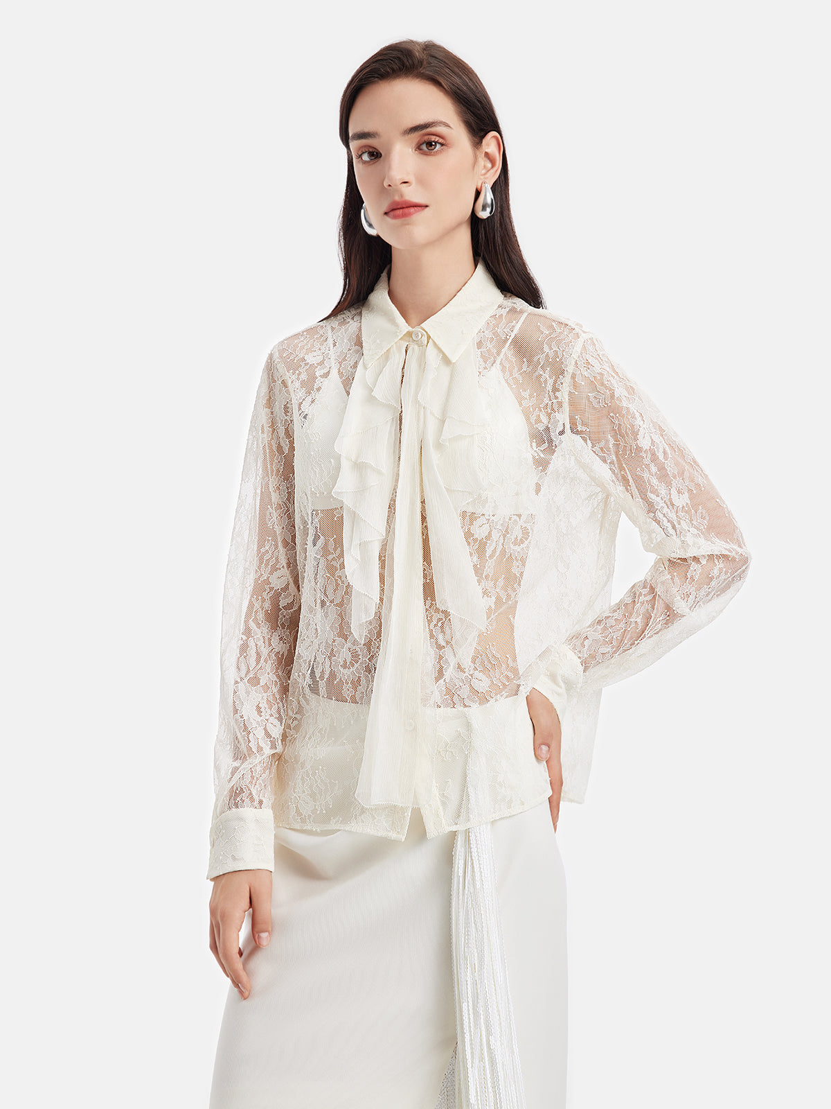 Vintage Ruffled Lace Sheer Blouse