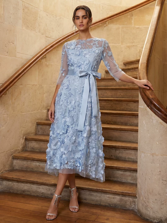 3D Floral Embroidered Mesh X-Waist Dress